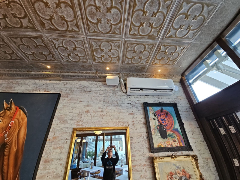 Dining room with pressed-tin ceiling